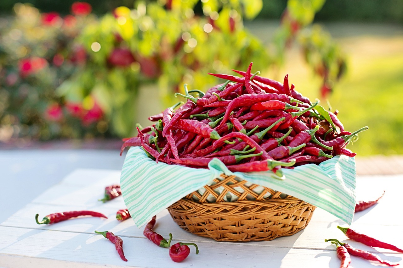 How Cooking at Home Impacts Health - The Science Explained